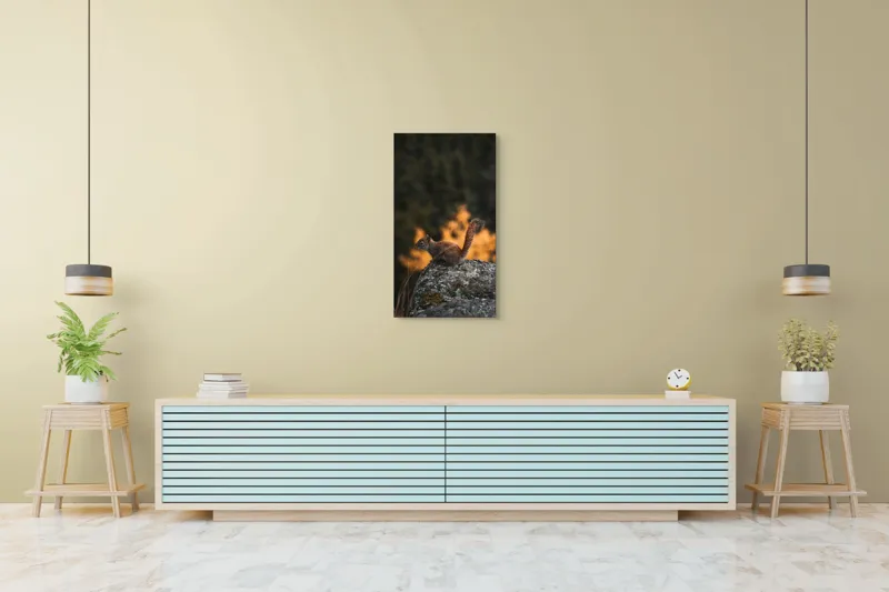 Tablou Canvas, "Veverița pe stâncă la apus", Veveriță, Copac, Pământ, Blană, Lumină, Natură, Toamnă, Stâncă, Coadă, Jucăușă, 50 x 90 cm – poza 6