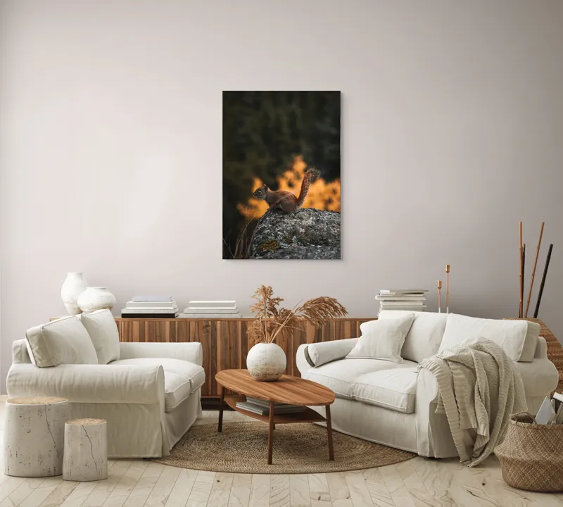 Tablou Canvas, "Veverița pe stâncă la apus", Veveriță, Copac, Pământ, Blană, Lumină, Natură, Toamnă, Stâncă, Coadă, Jucăușă, 70 x 100 cm – poza 4