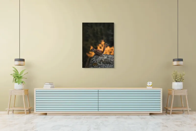 Tablou Canvas, "Veverița pe stâncă la apus", Veveriță, Copac, Pământ, Blană, Lumină, Natură, Toamnă, Stâncă, Coadă, Jucăușă, 70 x 100 cm – poza 5