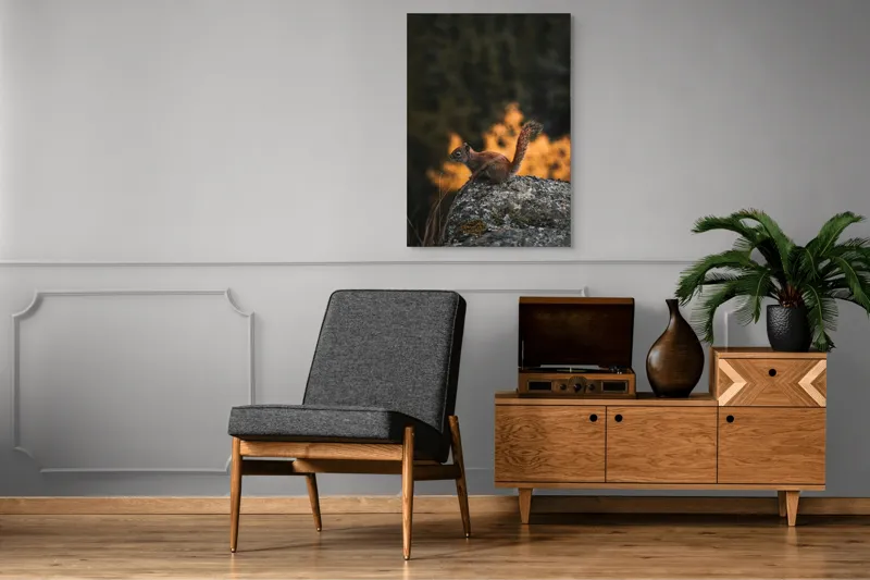 Tablou Canvas, "Veverița pe stâncă la apus", Veveriță, Copac, Pământ, Blană, Lumină, Natură, Toamnă, Stâncă, Coadă, Jucăușă, 70 x 100 cm – poza 6