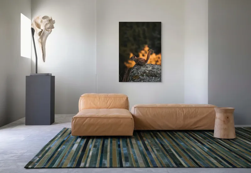 Tablou Canvas, "Veverița pe stâncă la apus", Veveriță, Copac, Pământ, Blană, Lumină, Natură, Toamnă, Stâncă, Coadă, Jucăușă, 70 x 100 cm – poza 7