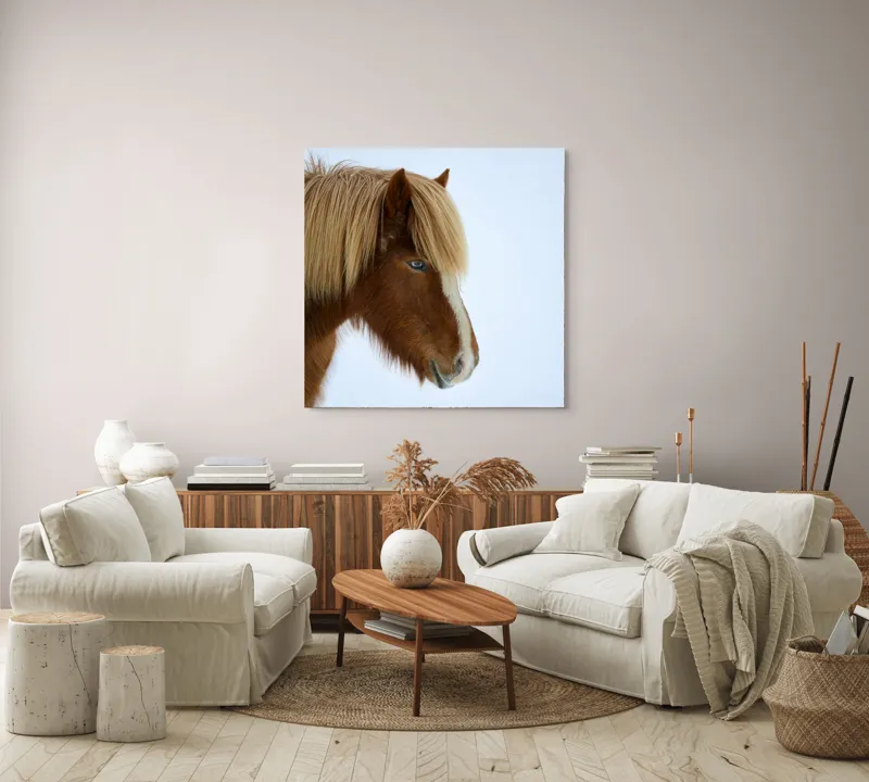 Tablou Canvas, "Nu pot spune cine este în imagine.", Cal, Blond, Privire, Blând, Plete, Zăpadă, Profil, Rase, Coadă, Ochii, 100 x 100 cm – poza 3