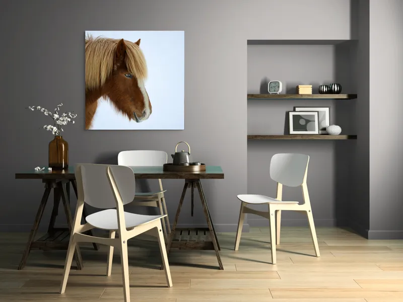 Tablou Canvas, "Nu pot spune cine este în imagine.", Cal, Blond, Privire, Blând, Plete, Zăpadă, Profil, Rase, Coadă, Ochii, 100 x 100 cm – poza 6