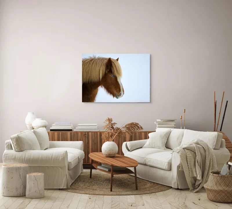 Tablou Canvas, "Nu pot spune cine este în imagine.", Cal, Blond, Privire, Blând, Plete, Zăpadă, Profil, Rase, Coadă, Ochii, 100 x 70 cm – poza 3