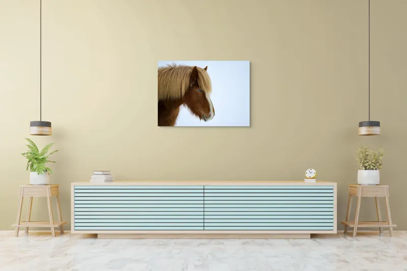 Tablou Canvas, "Nu pot spune cine este în imagine.", Cal, Blond, Privire, Blând, Plete, Zăpadă, Profil, Rase, Coadă, Ochii, 100 x 70 cm – poza 4