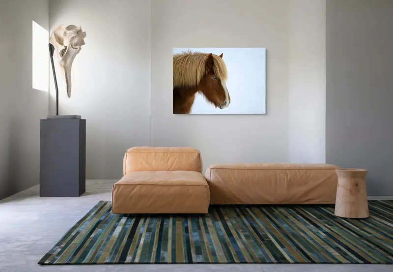 Tablou Canvas, "Nu pot spune cine este în imagine.", Cal, Blond, Privire, Blând, Plete, Zăpadă, Profil, Rase, Coadă, Ochii, 100 x 70 cm – poza 7