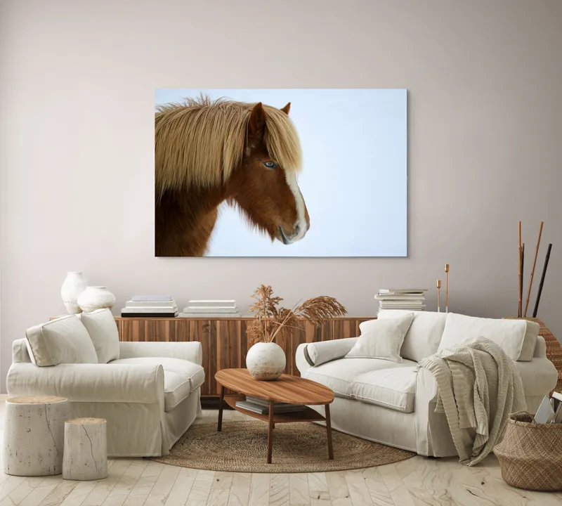 Tablou Canvas, "Nu pot spune cine este în imagine.", Cal, Blond, Privire, Blând, Plete, Zăpadă, Profil, Rase, Coadă, Ochii, 150 x 100 cm – poza 3