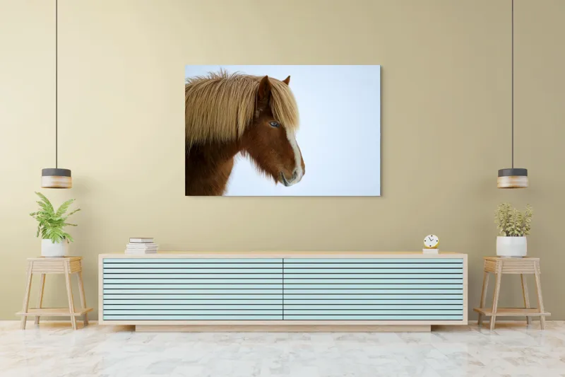 Tablou Canvas, "Nu pot spune cine este în imagine.", Cal, Blond, Privire, Blând, Plete, Zăpadă, Profil, Rase, Coadă, Ochii, 150 x 100 cm – poza 6