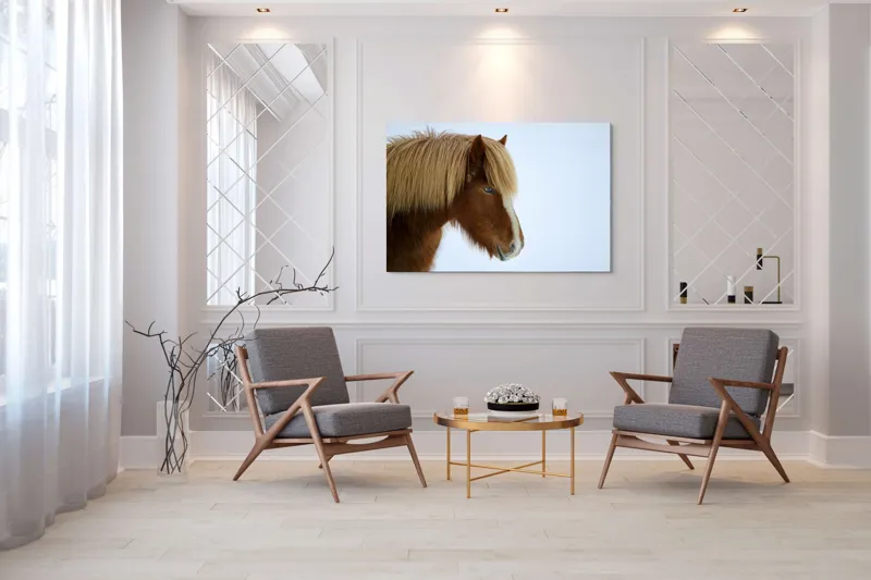 Tablou Canvas, "Nu pot spune cine este în imagine.", Cal, Blond, Privire, Blând, Plete, Zăpadă, Profil, Rase, Coadă, Ochii, 150 x 100 cm – poza 7