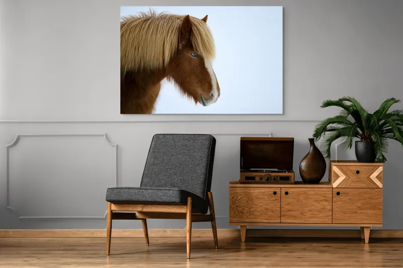 Tablou Canvas, "Nu pot spune cine este în imagine.", Cal, Blond, Privire, Blând, Plete, Zăpadă, Profil, Rase, Coadă, Ochii, 150 x 100 cm – poza 8
