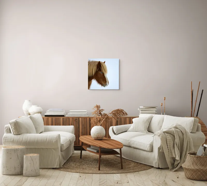 Tablou Canvas, "Nu pot spune cine este în imagine.", Cal, Blond, Privire, Blând, Plete, Zăpadă, Profil, Rase, Coadă, Ochii, 50 x 50 cm – poza 7