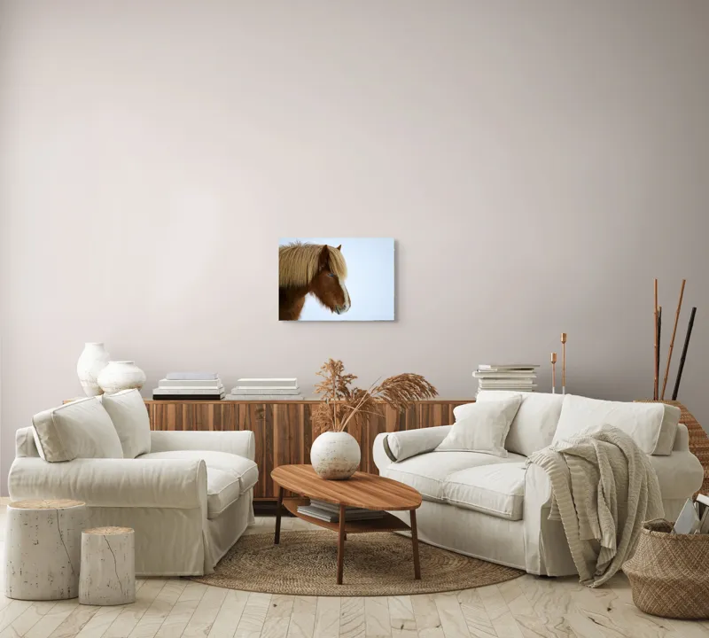 Tablou Canvas, "Nu pot spune cine este în imagine.", Cal, Blond, Privire, Blând, Plete, Zăpadă, Profil, Rase, Coadă, Ochii, 54 x 39 cm – poza 5