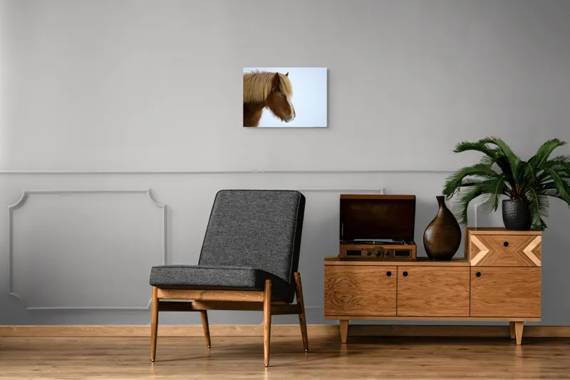 Tablou Canvas, "Nu pot spune cine este în imagine.", Cal, Blond, Privire, Blând, Plete, Zăpadă, Profil, Rase, Coadă, Ochii, 54 x 39 cm – poza 7