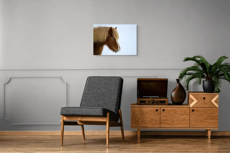 Tablou Canvas, "Nu pot spune cine este în imagine.", Cal, Blond, Privire, Blând, Plete, Zăpadă, Profil, Rase, Coadă, Ochii, 70 x 50 cm – poza 4