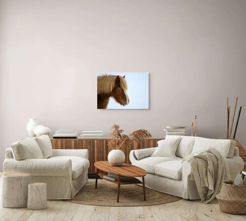 Tablou Canvas, "Nu pot spune cine este în imagine.", Cal, Blond, Privire, Blând, Plete, Zăpadă, Profil, Rase, Coadă, Ochii, 70 x 50 cm – poza 6