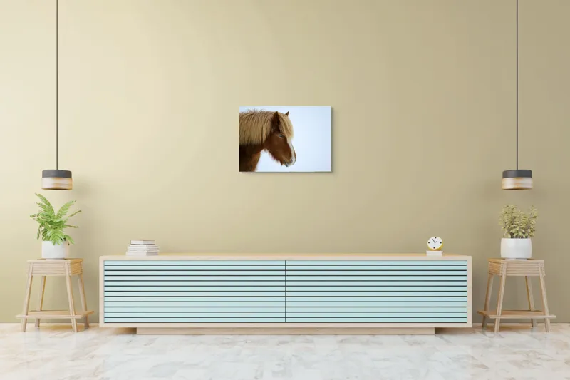 Tablou Canvas, "Nu pot spune cine este în imagine.", Cal, Blond, Privire, Blând, Plete, Zăpadă, Profil, Rase, Coadă, Ochii, 70 x 50 cm – poza 7