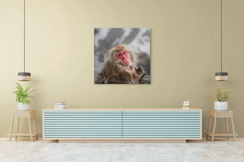 Tablou Canvas, "Macac japonez relaxându-se în apă termală", Blană, Zăpadă, Ape, Privire, Singurătate, 100 x 100 cm – poza 5
