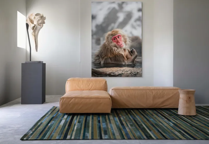 Tablou Canvas, "Macac japonez relaxându-se în apă termală", Blană, Zăpadă, Ape, Privire, Singurătate, 100 x 150 cm – poza 7