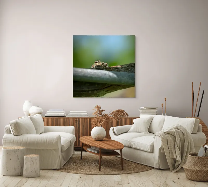 Tablou Canvas, "Privește lumi de sub ramură", Ascuns, Ochios, Zburdalnic, Natură, Blând, Verde, Senin, Ramură, Observator, 100 x 100 cm – poza 3