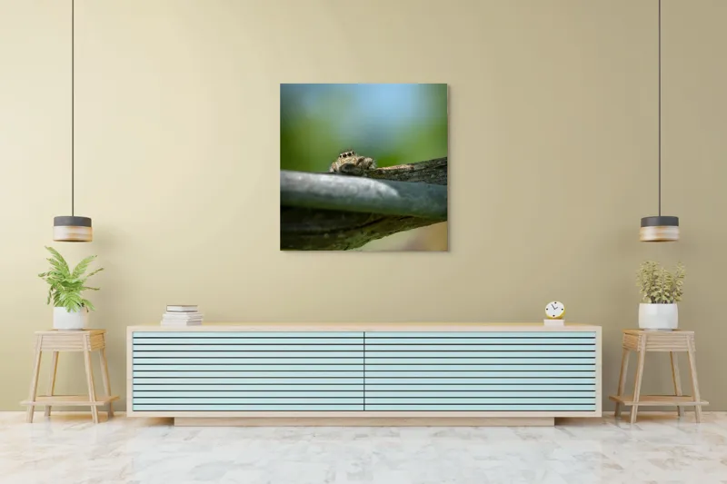 Tablou Canvas, "Privește lumi de sub ramură", Ascuns, Ochios, Zburdalnic, Natură, Blând, Verde, Senin, Ramură, Observator, 100 x 100 cm – poza 5