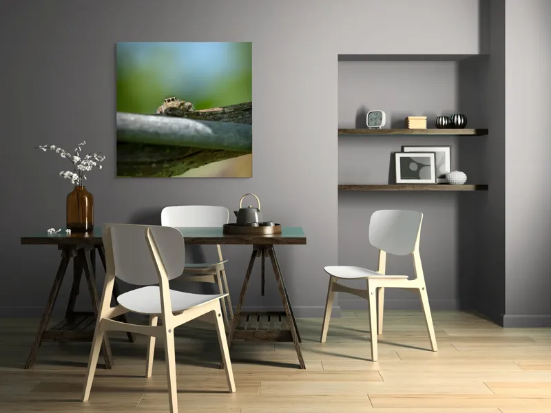 Tablou Canvas, "Privește lumi de sub ramură", Ascuns, Ochios, Zburdalnic, Natură, Blând, Verde, Senin, Ramură, Observator, 100 x 100 cm – poza 6