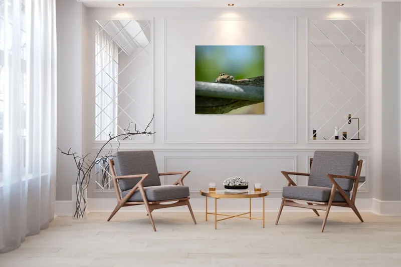Tablou Canvas, "Privește lumi de sub ramură", Ascuns, Ochios, Zburdalnic, Natură, Blând, Verde, Senin, Ramură, Observator, 100 x 100 cm – poza 7