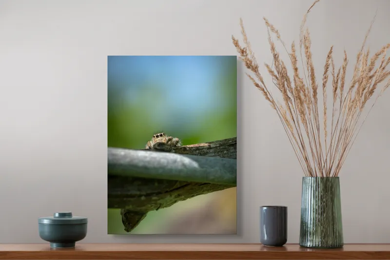 Tablou Canvas, "Privește lumi de sub ramură", Ascuns, Ochios, Zburdalnic, Natură, Blând, Verde, Senin, Ramură, Observator, 39 x 54 cm – poza 3