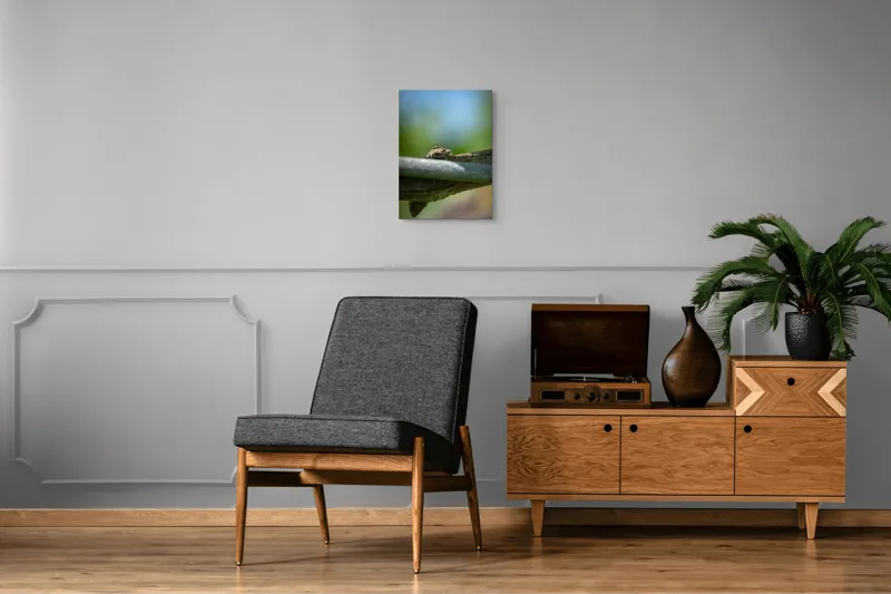 Tablou Canvas, "Privește lumi de sub ramură", Ascuns, Ochios, Zburdalnic, Natură, Blând, Verde, Senin, Ramură, Observator, 39 x 54 cm – poza 8