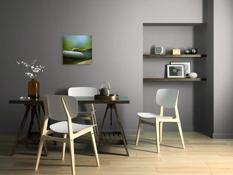 Tablou Canvas, "Privește lumi de sub ramură", Ascuns, Ochios, Zburdalnic, Natură, Blând, Verde, Senin, Ramură, Observator, 50 x 50 cm – poza 8