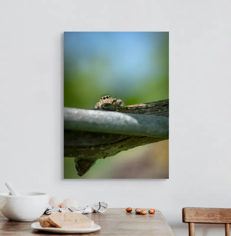 Tablou Canvas, "Privește lumi de sub ramură", Ascuns, Ochios, Zburdalnic, Natură, Blând, Verde, Senin, Ramură, Observator, 50 x 70 cm – poza 3