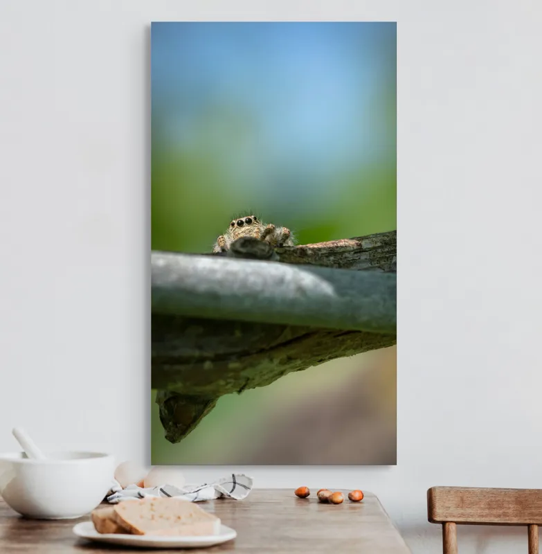 Tablou Canvas, "Privește lumi de sub ramură", Ascuns, Ochios, Zburdalnic, Natură, Blând, Verde, Senin, Ramură, Observator, 50 x 90 cm – poza 3