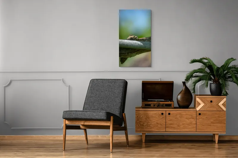 Tablou Canvas, "Privește lumi de sub ramură", Ascuns, Ochios, Zburdalnic, Natură, Blând, Verde, Senin, Ramură, Observator, 50 x 90 cm – poza 8