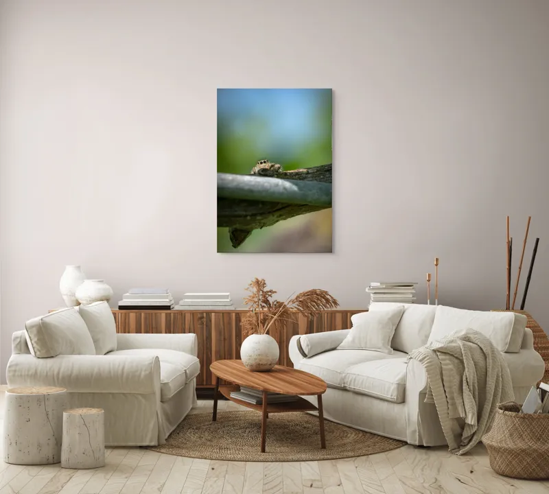 Tablou Canvas, "Privește lumi de sub ramură", Ascuns, Ochios, Zburdalnic, Natură, Blând, Verde, Senin, Ramură, Observator, 70 x 100 cm – poza 4