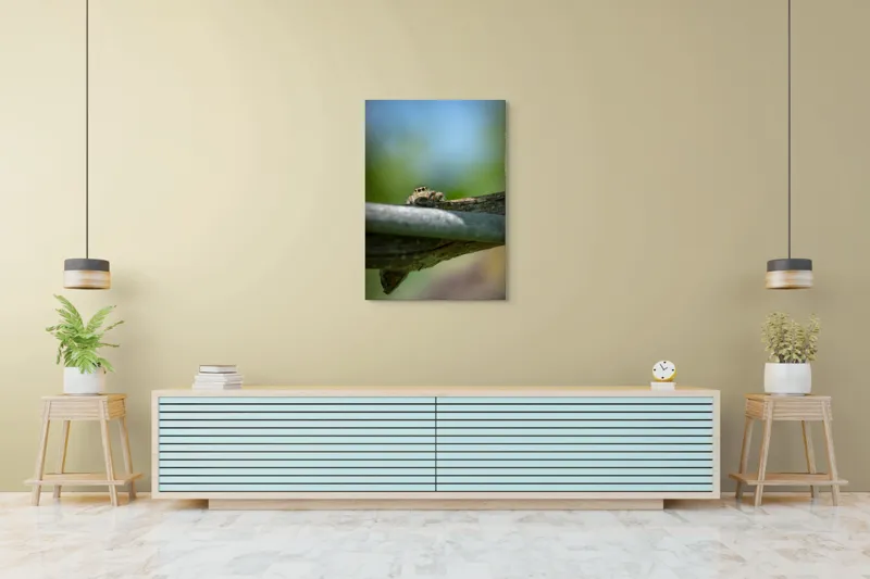 Tablou Canvas, "Privește lumi de sub ramură", Ascuns, Ochios, Zburdalnic, Natură, Blând, Verde, Senin, Ramură, Observator, 70 x 100 cm – poza 5