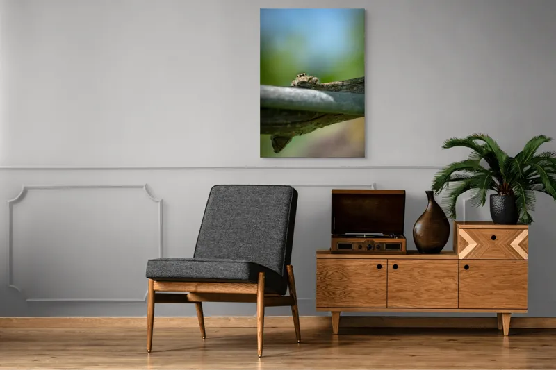 Tablou Canvas, "Privește lumi de sub ramură", Ascuns, Ochios, Zburdalnic, Natură, Blând, Verde, Senin, Ramură, Observator, 70 x 100 cm – poza 6
