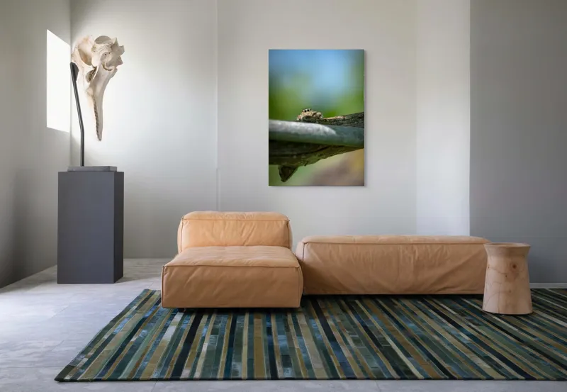 Tablou Canvas, "Privește lumi de sub ramură", Ascuns, Ochios, Zburdalnic, Natură, Blând, Verde, Senin, Ramură, Observator, 70 x 100 cm – poza 7