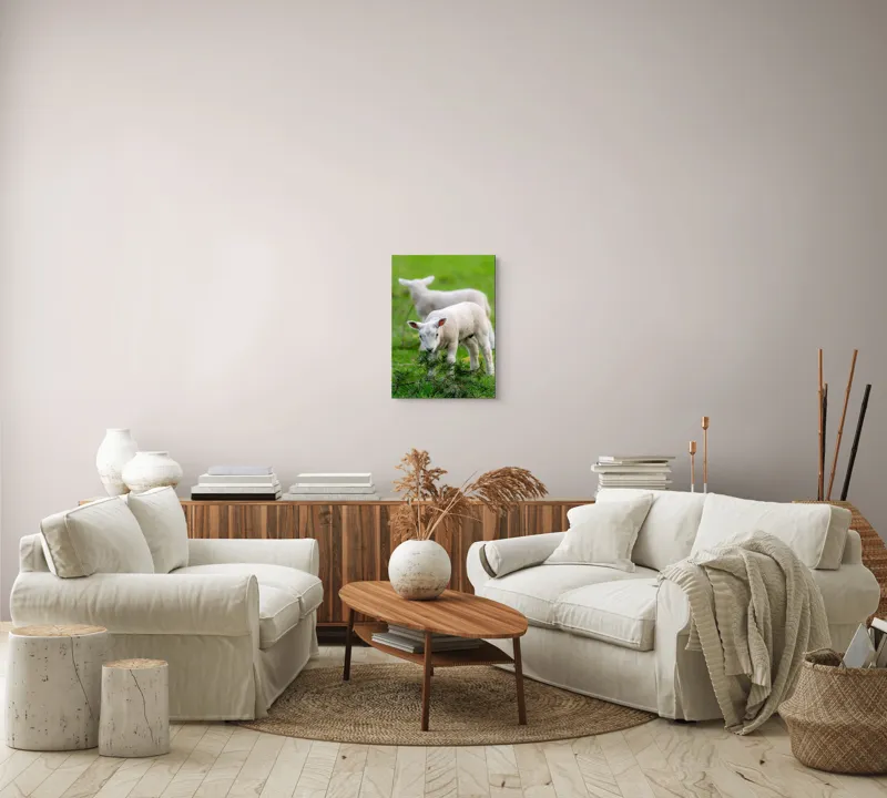 Tablou Canvas, "Miei curioși pe câmp primăvăratic", Miel, Iarbă, Urechi, Blană, Crenguțe, Picioare, Oiță, Verde, Natură, Curiozitate, 39 x 54 cm – poza 5