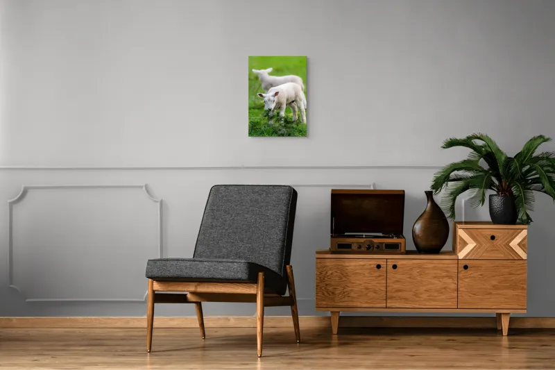 Tablou Canvas, "Miei curioși pe câmp primăvăratic", Miel, Iarbă, Urechi, Blană, Crenguțe, Picioare, Oiță, Verde, Natură, Curiozitate, 39 x 54 cm – poza 8