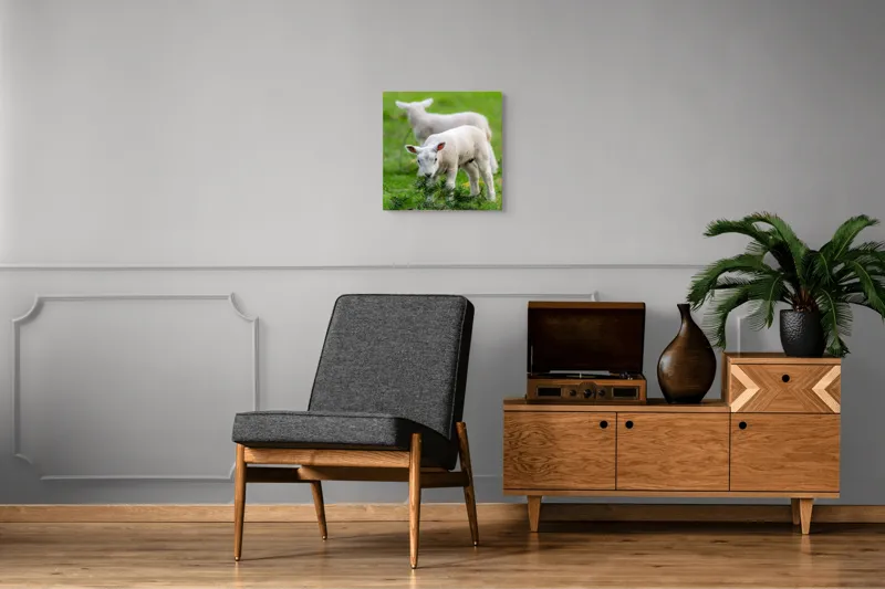 Tablou Canvas, "Miei curioși pe câmp primăvăratic", Miel, Iarbă, Urechi, Blană, Crenguțe, Picioare, Oiță, Verde, Natură, Curiozitate, 50 x 50 cm – poza 6