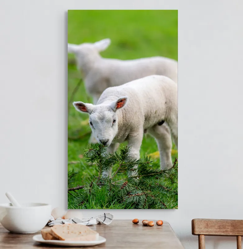 Tablou Canvas, "Miei curioși pe câmp primăvăratic", Miel, Iarbă, Urechi, Blană, Crenguțe, Picioare, Oiță, Verde, Natură, Curiozitate, 50 x 90 cm – poza 3