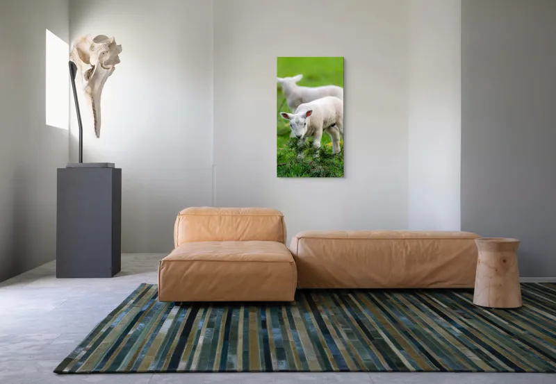 Tablou Canvas, "Miei curioși pe câmp primăvăratic", Miel, Iarbă, Urechi, Blană, Crenguțe, Picioare, Oiță, Verde, Natură, Curiozitate, 50 x 90 cm – poza 5