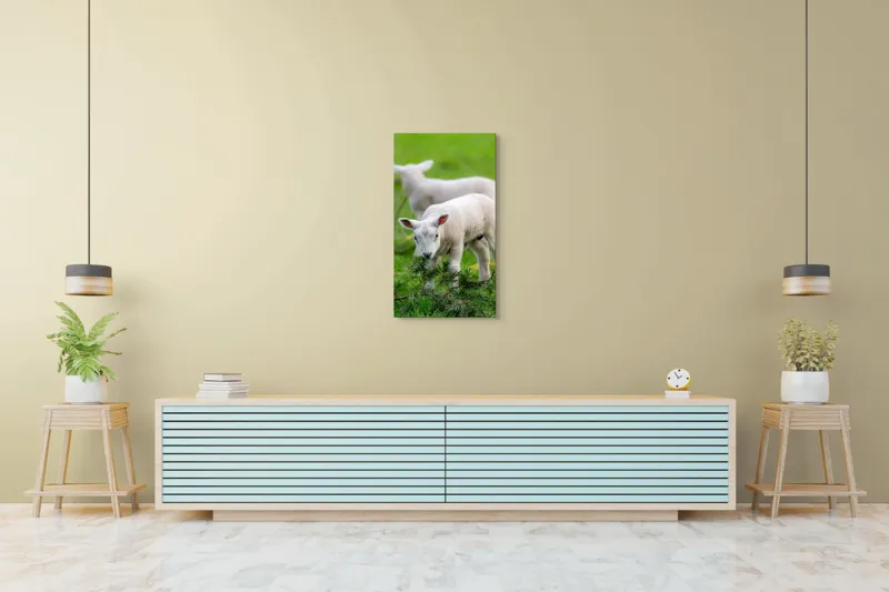 Tablou Canvas, "Miei curioși pe câmp primăvăratic", Miel, Iarbă, Urechi, Blană, Crenguțe, Picioare, Oiță, Verde, Natură, Curiozitate, 50 x 90 cm – poza 6