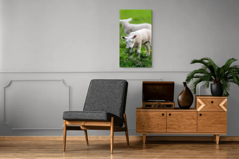 Tablou Canvas, "Miei curioși pe câmp primăvăratic", Miel, Iarbă, Urechi, Blană, Crenguțe, Picioare, Oiță, Verde, Natură, Curiozitate, 50 x 90 cm – poza 8