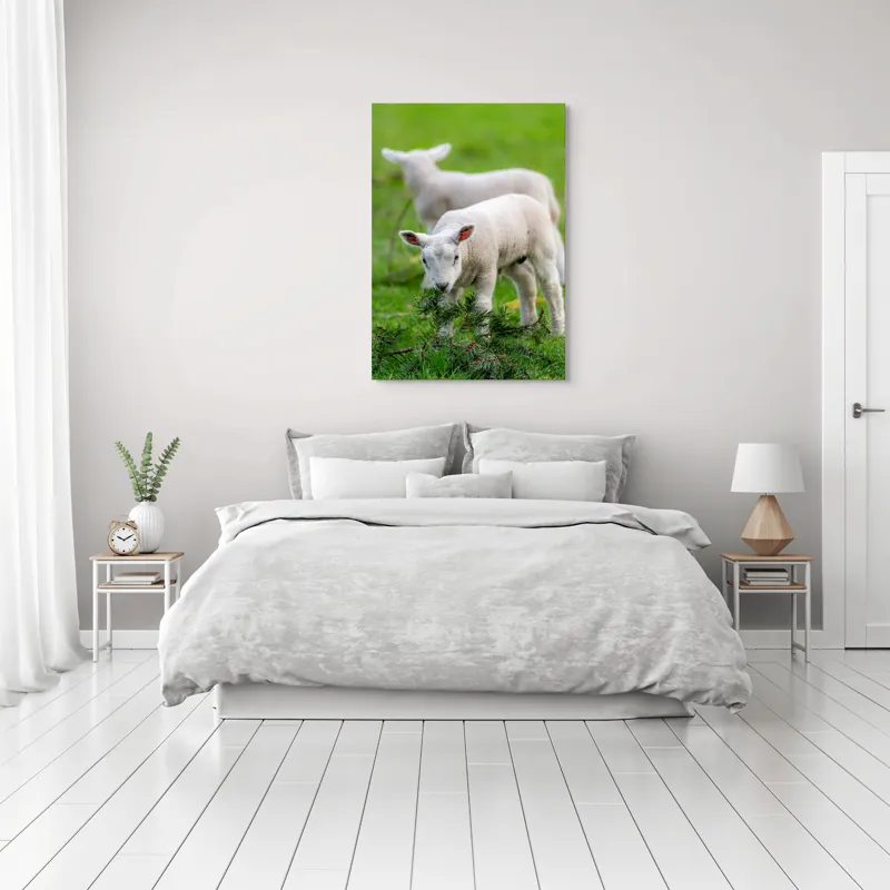 Tablou Canvas, "Miei curioși pe câmp primăvăratic", Miel, Iarbă, Urechi, Blană, Crenguțe, Picioare, Oiță, Verde, Natură, Curiozitate, 70 x 100 cm – poza 3