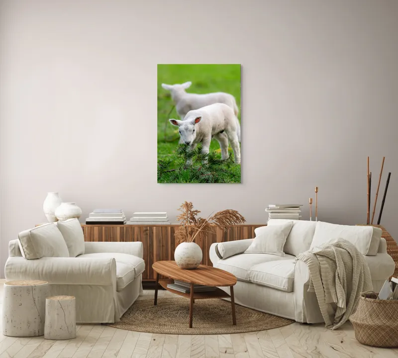 Tablou Canvas, "Miei curioși pe câmp primăvăratic", Miel, Iarbă, Urechi, Blană, Crenguțe, Picioare, Oiță, Verde, Natură, Curiozitate, 70 x 100 cm – poza 4