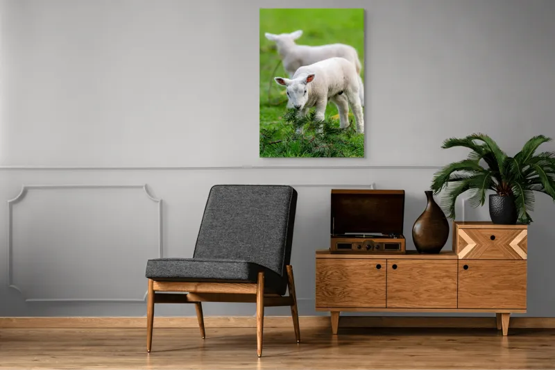 Tablou Canvas, "Miei curioși pe câmp primăvăratic", Miel, Iarbă, Urechi, Blană, Crenguțe, Picioare, Oiță, Verde, Natură, Curiozitate, 70 x 100 cm – poza 6