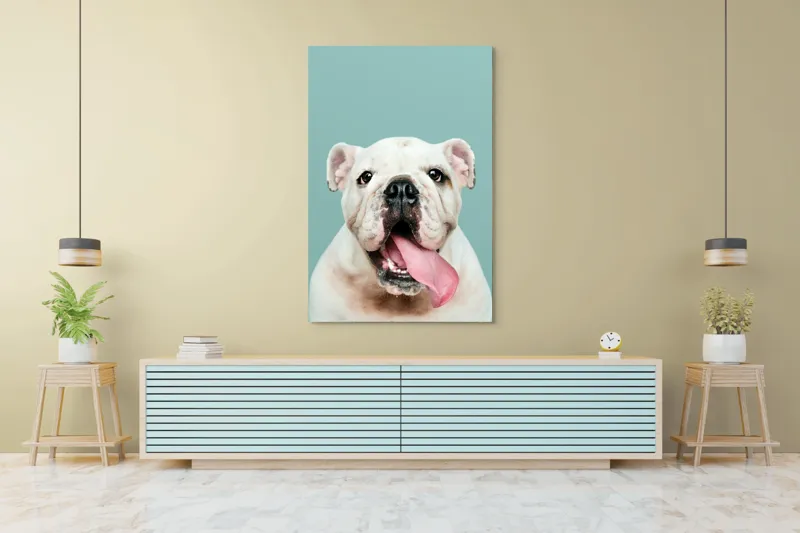 Tablou Canvas, "Bulldog fericit cu limba scoasă", Bulldog, Amuzant, Prietenos, Limbă, Fotografie, Zâmbet, Fundal, Verde, Portret, Drăguț, 100 x 150 cm – poza 4