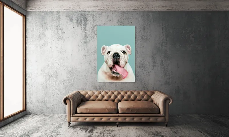 Tablou Canvas, "Bulldog fericit cu limba scoasă", Bulldog, Amuzant, Prietenos, Limbă, Fotografie, Zâmbet, Fundal, Verde, Portret, Drăguț, 100 x 150 cm – poza 6