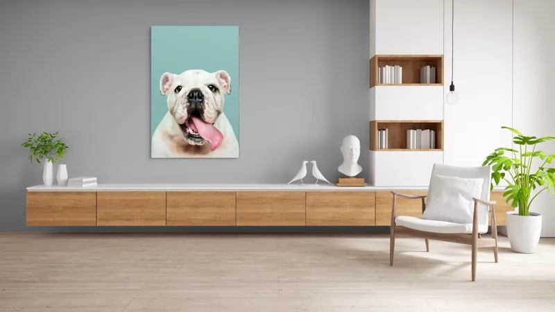 Tablou Canvas, "Bulldog fericit cu limba scoasă", Bulldog, Amuzant, Prietenos, Limbă, Fotografie, Zâmbet, Fundal, Verde, Portret, Drăguț, 100 x 150 cm – poza 8