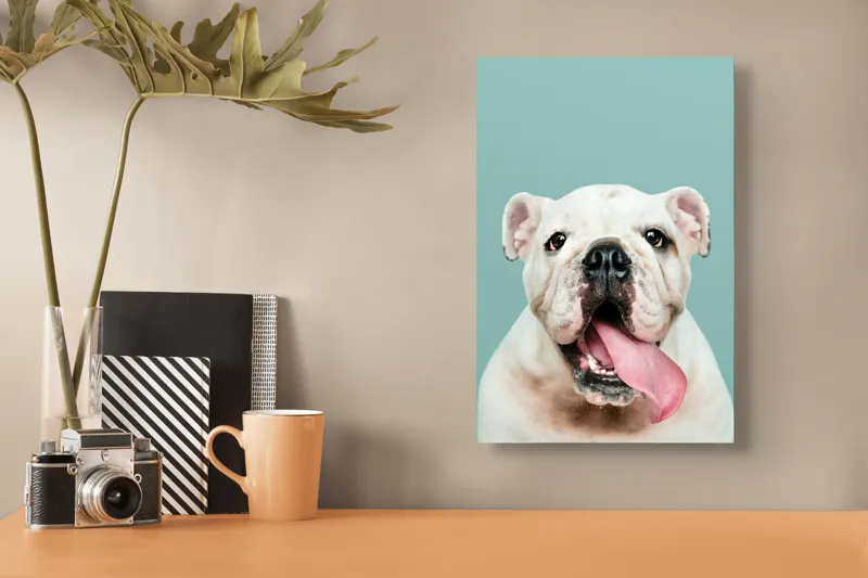 Tablou Canvas, "Bulldog fericit cu limba scoasă", Bulldog, Amuzant, Prietenos, Limbă, Fotografie, Zâmbet, Fundal, Verde, Portret, Drăguț, 26 x 39 cm – poza 3